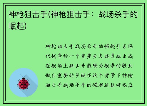 神枪狙击手(神枪狙击手：战场杀手的崛起)